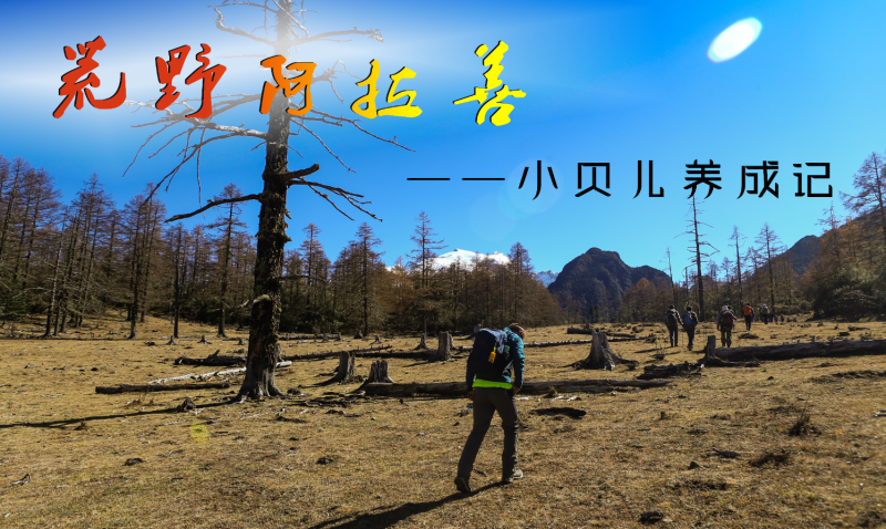 20190221141954_148.png 9.png
